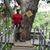 Christopher J. DeNotaris's profile image