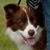 Sue Ader's profile image