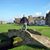 Frank Wynns's profile image