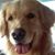 Ann Newhouse's profile image