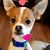 Rhonda Carter Whitfield's profile image