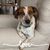Tricia Carter Boaz's profile image