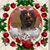Dwayne Rucker's profile image