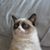 Kenneth R Tackett's profile image