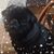 Laura Whitmer's profile image