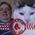 Tom Desautel's profile image