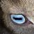 Clyde Mcclanton's profile image