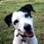 Richard Zewe's profile image