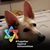Bruce Levin's profile image