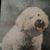 Brenda Froelke's profile image