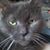 Dona M Rapciewicz's profile image