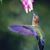 BJ Barford's profile image