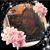 Maria Orozco's profile image