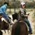 Michelle Meisenhalder's profile image