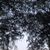 Kerri Wilk's profile image