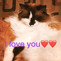 Trinitie Kedrowski's profile image