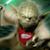 Kathryn Bonelli's profile image