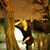 Калинина Зоя's profile image