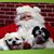 Gail Rusk's profile image