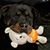 Dennis Dewey Jr.'s profile image