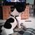 Joan Tuel's profile image