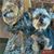 Paula Ruffner-Cooper's profile image