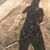 Yvette Neisser's profile image