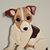 Donald Pott's profile image