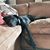 Susan Taylor Cederbom's profile image