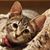 Shirley Anderson's profile image