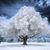Corie Hagen Kooi's profile image