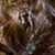 Darlene Anderson's profile image
