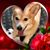 Michele Lipinski's profile image