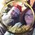 Emily Bohlin Miller's profile image