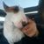 Rowena Langston's profile image
