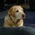 Riley Boylan's profile image