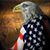 Mike Meis's profile image