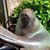 Melissa Dragonfly's profile image
