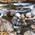 Talavera Sandra's profile image