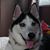 Amy Gwin's profile image