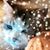 Lynda Meyer Black's profile image