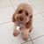 Isabel Pearlman's profile image