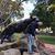 Clark Sharp's profile image