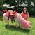 Heather Jo Allen's profile image
