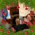 Dawn Rodkey's profile image