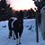 Sherry Prinsen's profile image