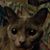 Christy Banfield's profile image