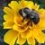 Anita Brucker's profile image
