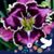 Cheryl Burke's profile image
