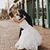 Belinda Popp's profile image